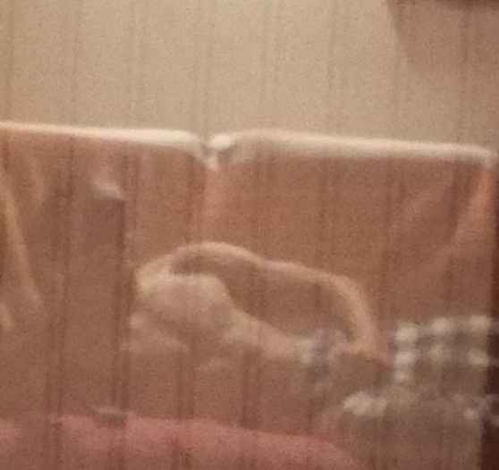 Profil de Youssif, 38 ans, Annonces gay à Chambrelien (Neuchâtel)